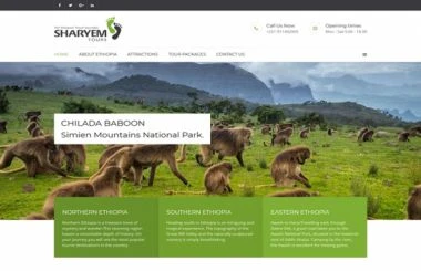 Sharyem Tours